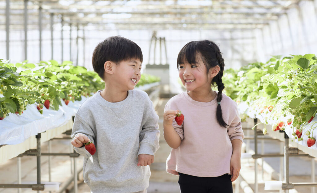 いちご狩りを楽しむ子供